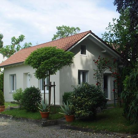 Villa Maja 마르크도르프 외부 사진