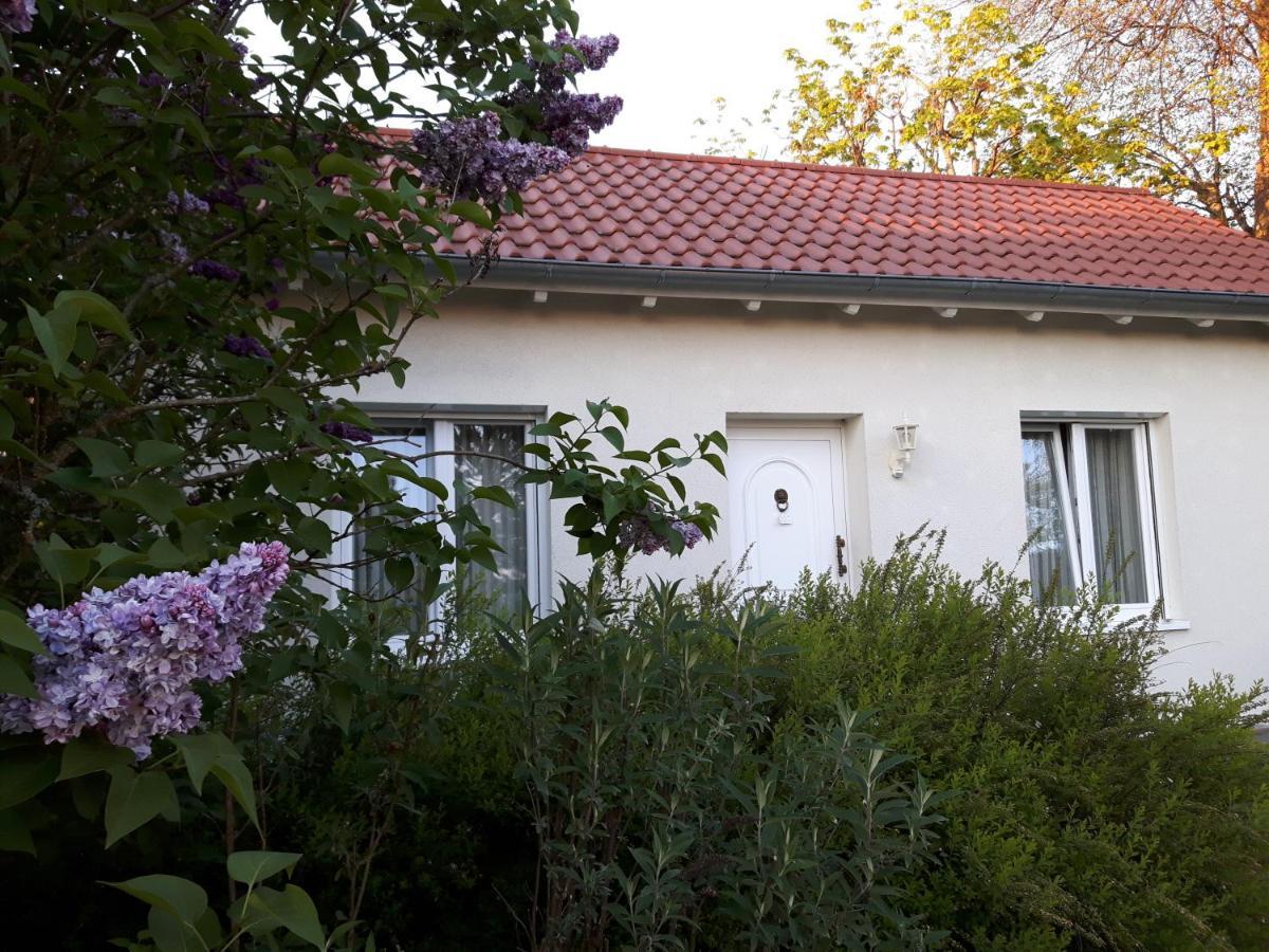 Villa Maja 마르크도르프 외부 사진